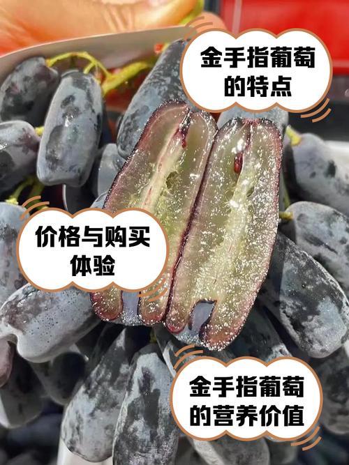 金手指葡萄 品鉴与市场信息全解析