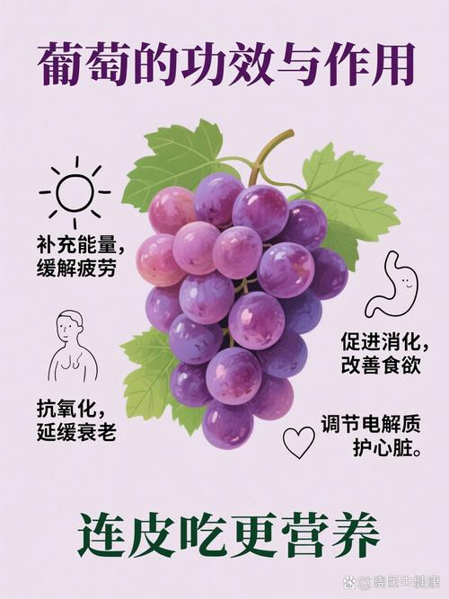 葡萄的功效与作用 酸甜多汁下的健康密码