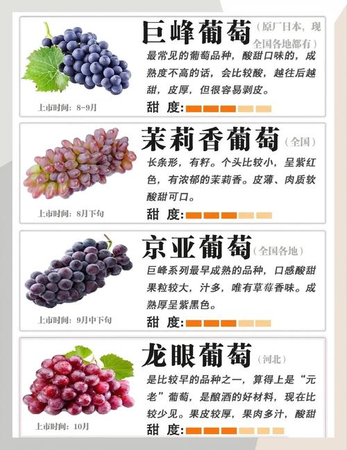葡萄品种大全及营养价值详解