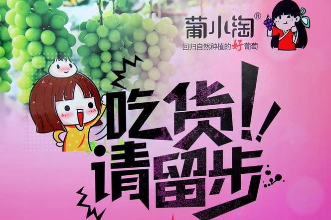 葡小淘阳光玫瑰葡萄园 吃货请留步，葡萄架下等你约